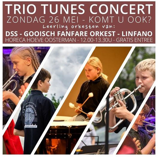 Trio Tunes Concert poster